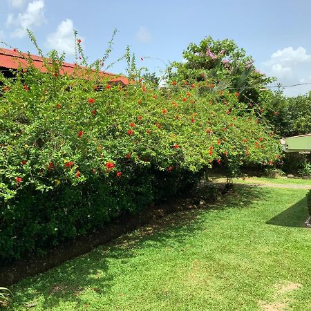 Casona Tica Linda Hotel ซาราปิกี ภายนอก รูปภาพ