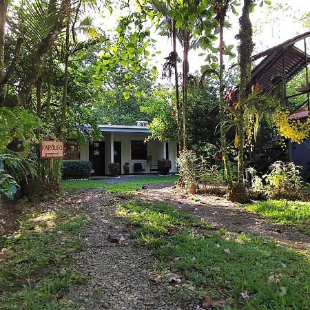 Casona Tica Linda Hotel ซาราปิกี ภายนอก รูปภาพ