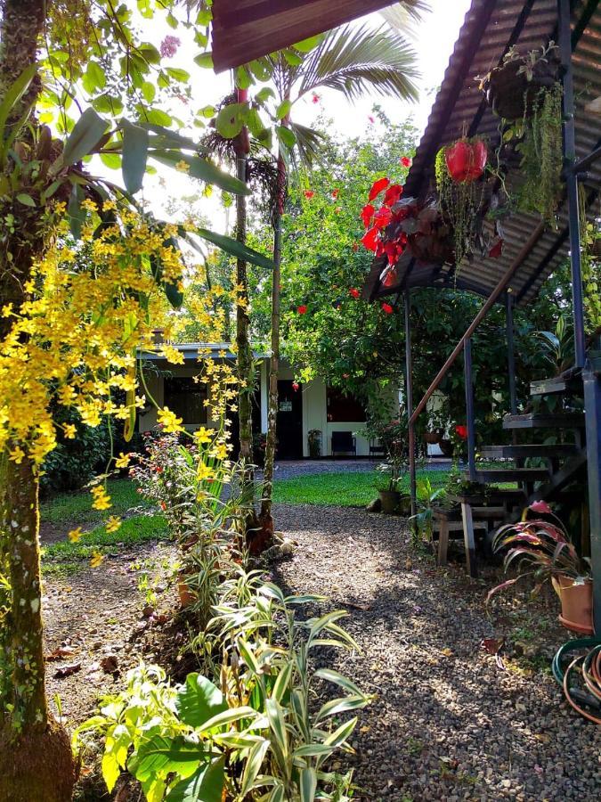 Casona Tica Linda Hotel ซาราปิกี ภายนอก รูปภาพ